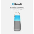 ION Audio Bright Max Plus Indoor/Outdoor 360 Degree Bluetooth Speaker